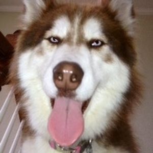 Meet your Posher, Destinee